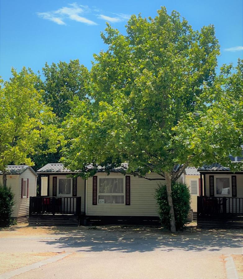 Bungalows Zaragoza Camping Luaran gambar