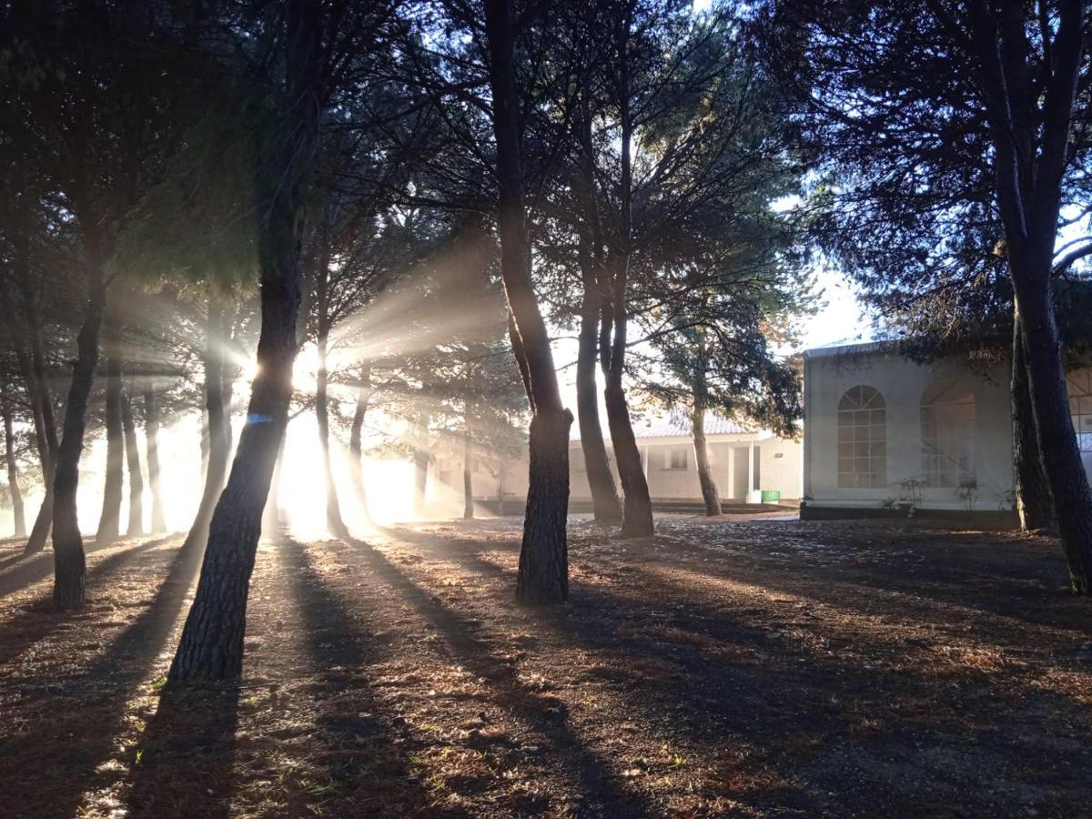Bungalows Zaragoza Camping Luaran gambar